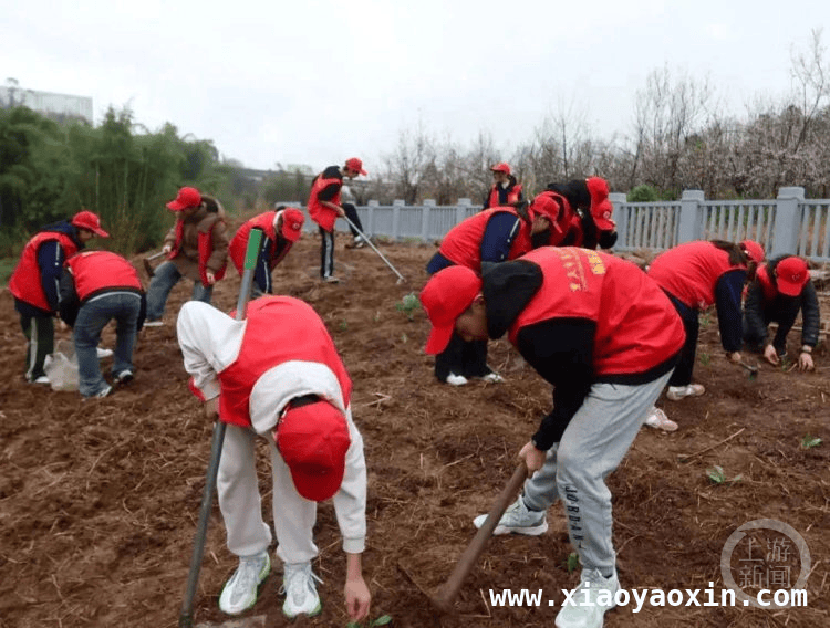 重庆中小学校春季研学，让学生拥抱自然与劳动