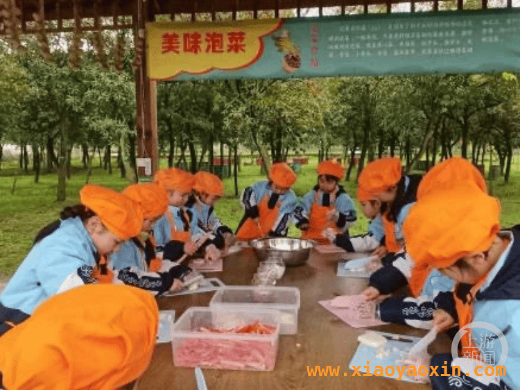 重庆中小学校春季研学，让学生拥抱自然与劳动