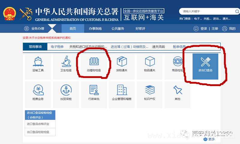 进境产品海关申请全攻略，一文带你了解！