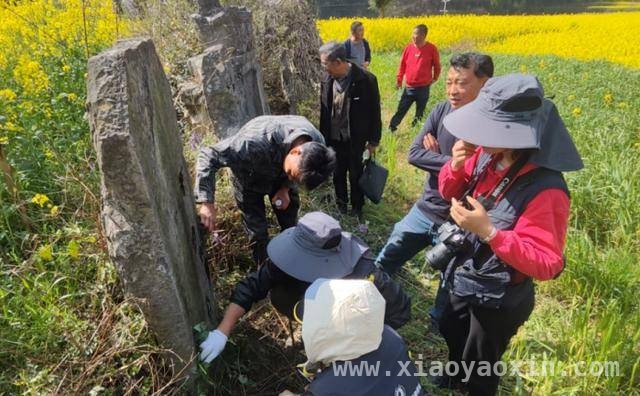 罗平县第四次全国文物普查野外调查：新发现99处文物，意义非凡 罗平县四普野外调查：提高群众文物保护意识，培养专业队伍
