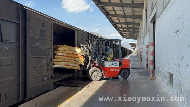 国铁昆明局：保运输就是保民生，化肥运抵全国助春耕