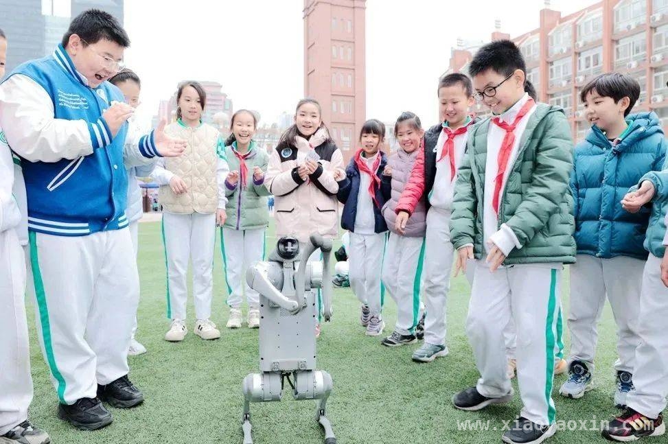 朝阳学校数学节：游戏中感受数学的独特魅力，探索朝阳各校数学节：多样活动解锁数学奥秘