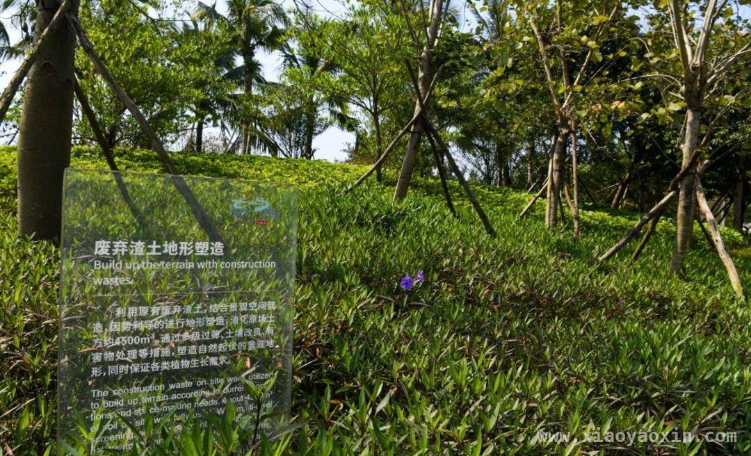 海南博鳌：从近零碳到零碳的跨越，为全球零碳标准献中国方案