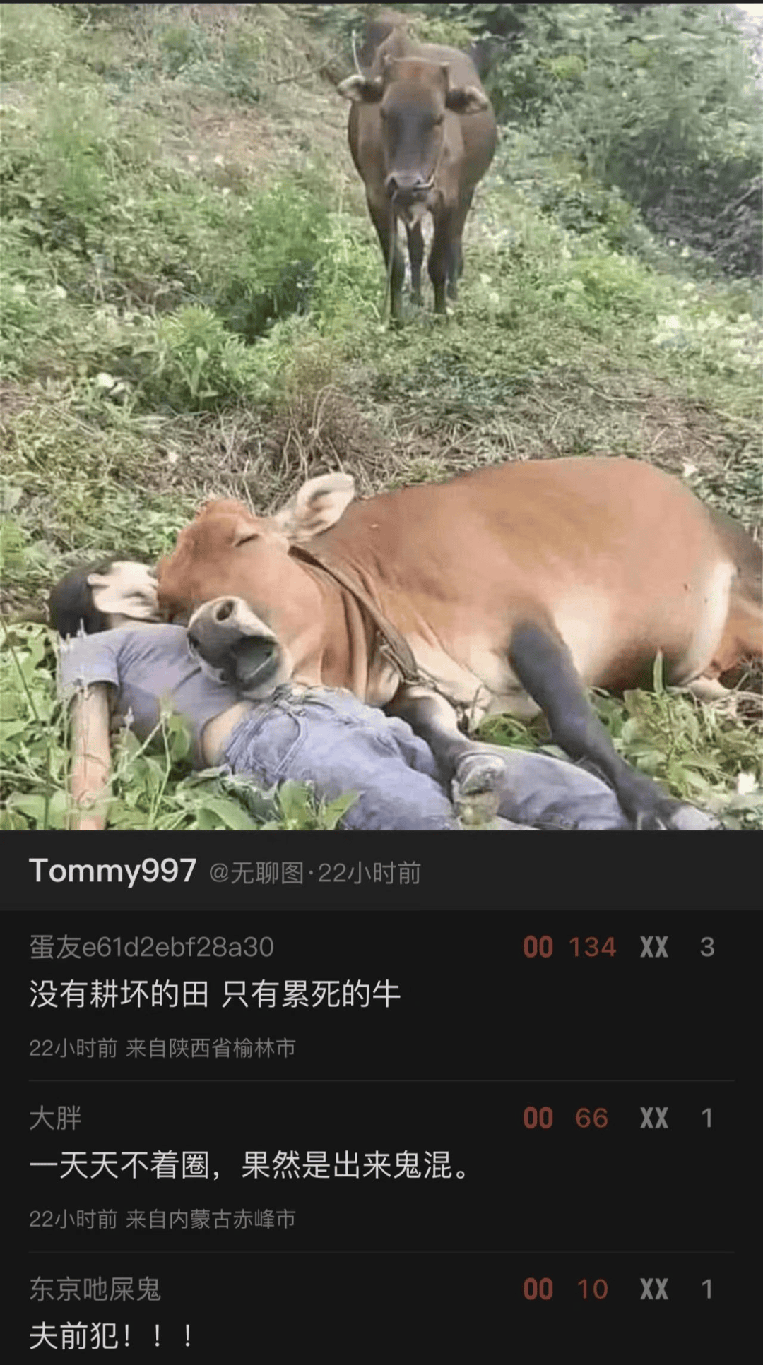 跟着段子哥，体验无尽欢乐，幽默段子大集合，快乐源泉不间断