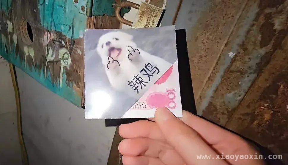 跟着段子哥，体验无尽欢乐，幽默段子大集合，快乐源泉不间断