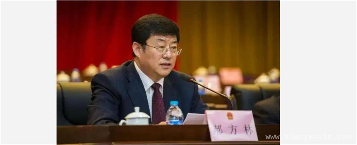 郝方林受贿案：法律之剑直指腐败官员