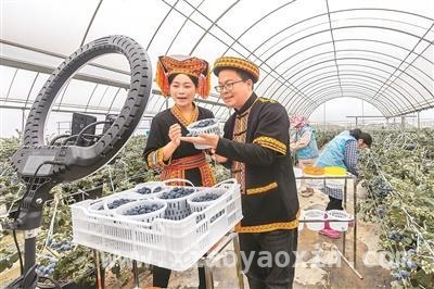 电商“仅退款”规则调整：行业发展新趋势