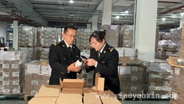 通关加速！上海海关助力欧莱雅首秀，美妆产业再升级，上海海关新举措，推动欧莱雅首秀引领美妆产业新潮流