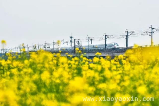 注意！清明假期铁路运输安排与购票须知来了