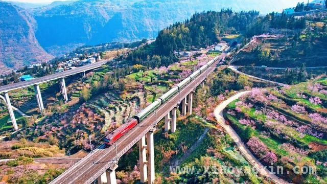 注意！清明假期铁路运输安排与购票须知来了