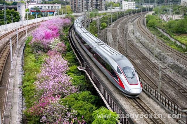 注意！清明假期铁路运输安排与购票须知来了