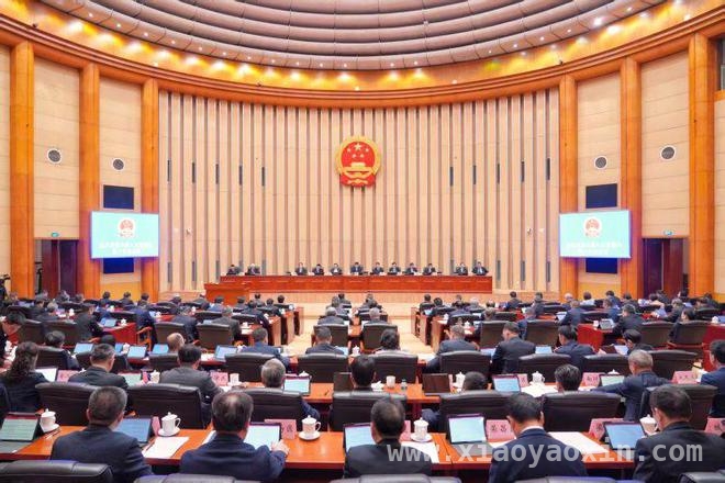 重庆停车新规：规范停车秩序，保障城市交通顺畅，重庆停车条例解读：多维度解决城市停车顽疾