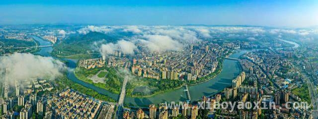 中国树密度地图：开启森林资源科学管理新时代 广东森林独韵：人口大省的绿色奇迹