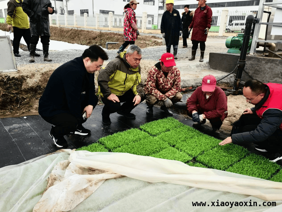 市科协、市妇联等单位积极开展学雷锋志愿服务活动