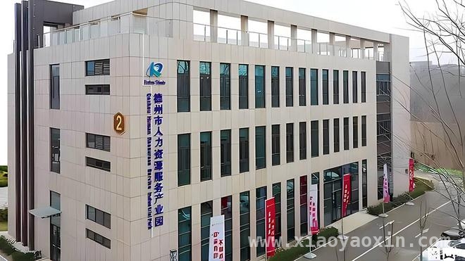 3月28日德州退役军人招聘会，多元渠道促就业！，德州为退役军人搭建就业平台，招聘会亮点多！