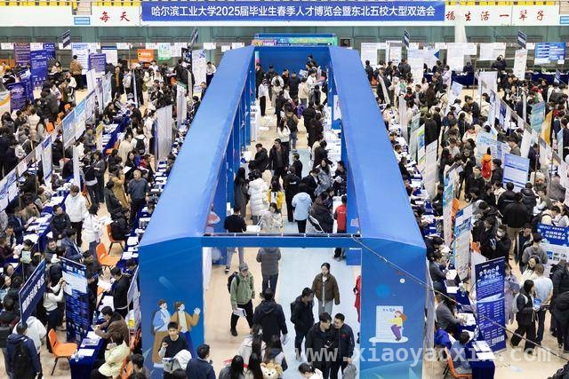 2025哈工大春季人才博览会：AI为毕业生就业添翼