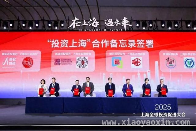 2025上海全球投资促进大会：开启上海投资新征程，2025上海投资大会：多元合作共绘发展新蓝图