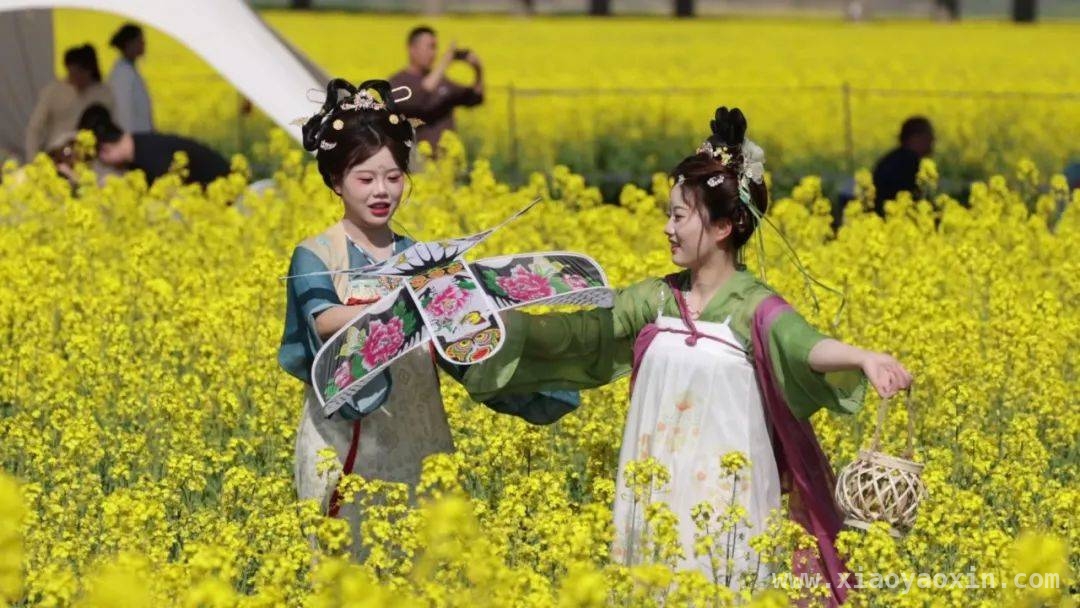 4. 阜南中岗油菜花文化旅游美食季，带动文旅产业蓬勃发展，2. 阜南中岗油菜花季：以花为媒，“颜值”变“产值”