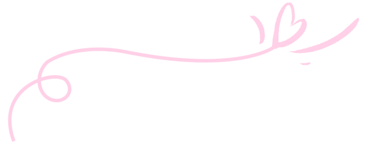 三角梅艳绽厦门，点亮春日打卡地