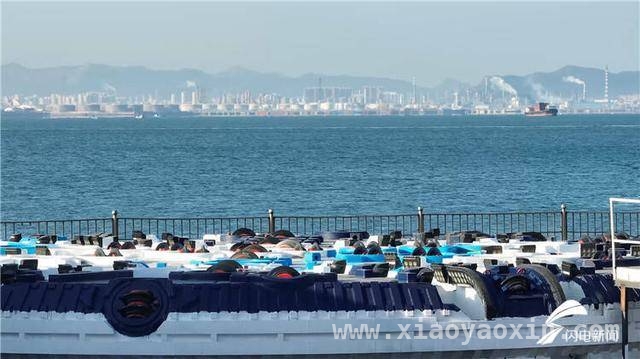 “海天号”盾构机发力，青岛胶州湾第二隧道建设再迎新进展