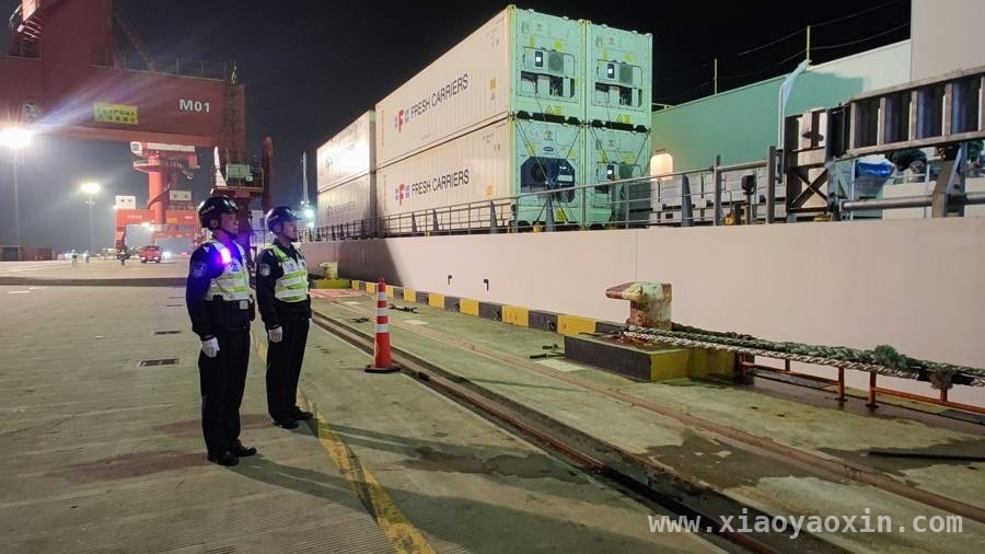 新西兰奇异果丰产，今年对华出口季正式拉开帷幕，“科槐”轮载佳沛奇异果靠泊上海，边检助力抢“鲜”上市