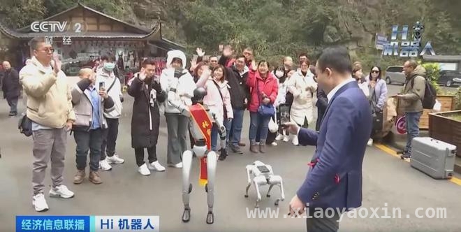 从张家界到工厂，人形机器人开启产业新征程