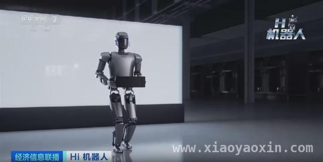 从张家界到工厂，人形机器人开启产业新征程