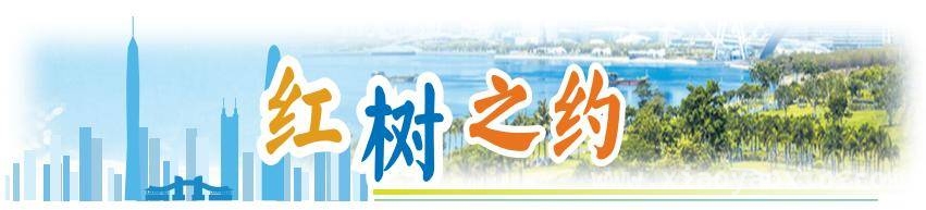 守护“海上绿洲”：内伶仃岛与福田红树林的无名英雄，内伶仃岛：林业人用青春汗水谱写生态守护之歌