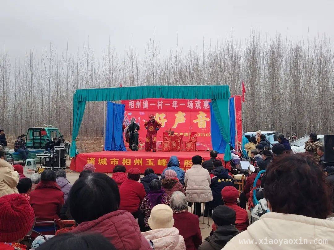 “茂腔进乡村”：相州镇人大传承非遗点亮乡村生活 诸城相州镇：茂腔文化助力乡村振兴新风尚