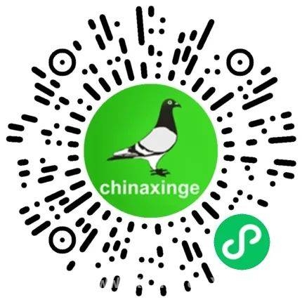 江苏瑞达赛鸽公棚春赛结束，网络同步拍卖等您体验，超六成归巢率！江苏瑞达赛鸽公棚春赛完美收官与拍卖预告