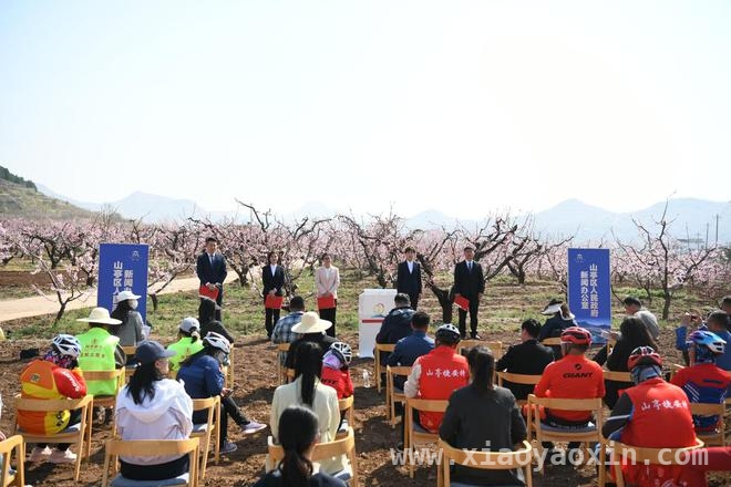 枣庄第八届桃花节：春日浪漫，解锁乡村振兴新密码