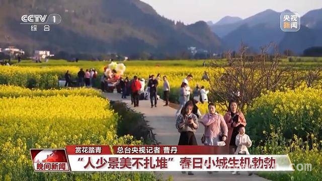 春季旅游与消费市场：从小城风光到家居新潮