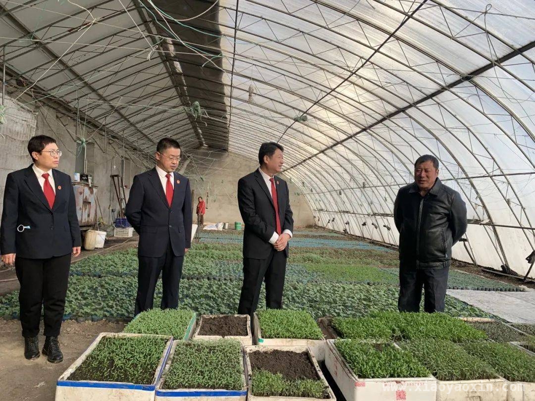 额尔古纳市法院：司法为民，护航发展新征程，额尔古纳市法院：司法之光照亮民生与营商之路