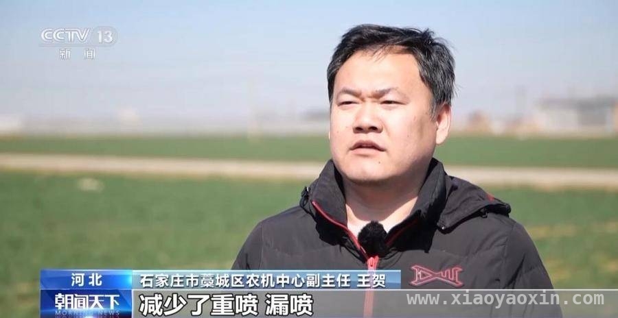 全国冬小麦生长情况良好，各地区特色田管技术大放异彩 冬小麦生长步入关键期，各地发力保障增产增收