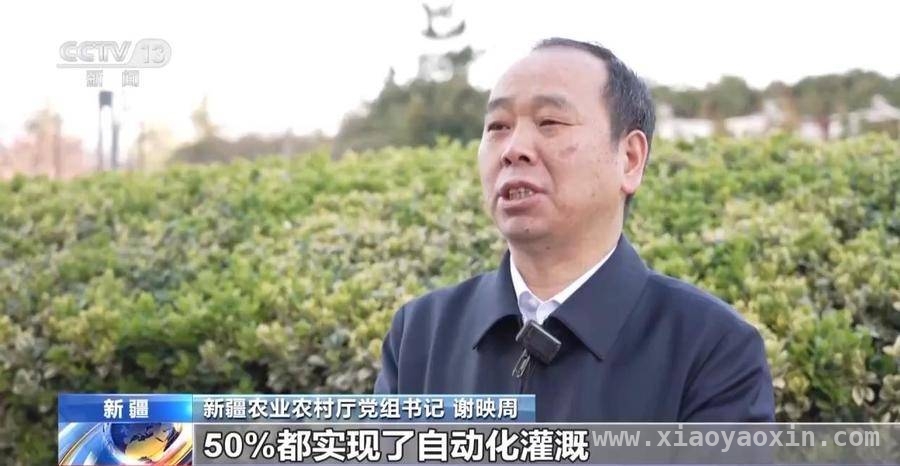 全国冬小麦生长情况良好，各地区特色田管技术大放异彩 冬小麦生长步入关键期，各地发力保障增产增收