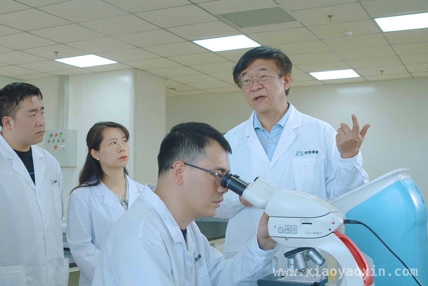 探秘干细胞：开启医学新希望