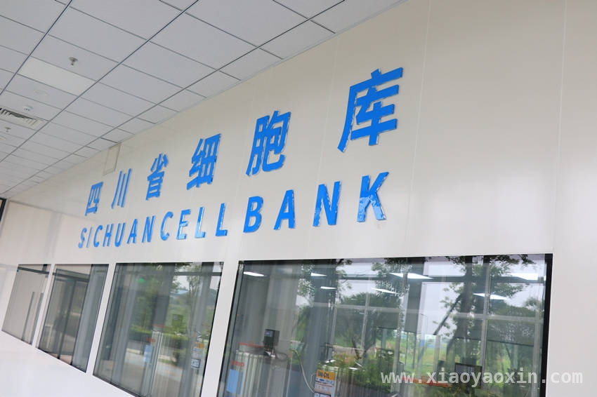 探秘干细胞：开启医学新希望