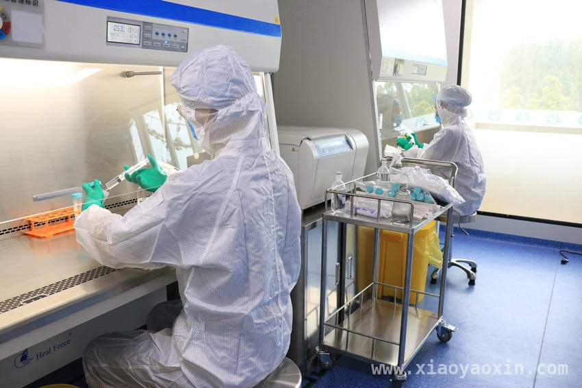 探秘干细胞：开启医学新希望