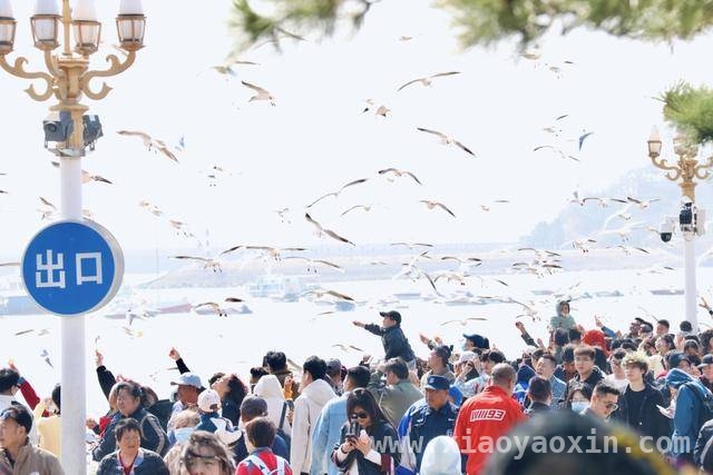 青岛“乐享山海文明行”：文明旅游新风尚来袭！