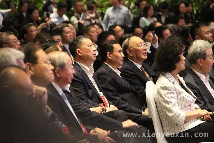 当博鳌遇见亚洲：一场跨越时空的思想盛宴，博鳌：融合传统与现代，点亮亚洲发展之光