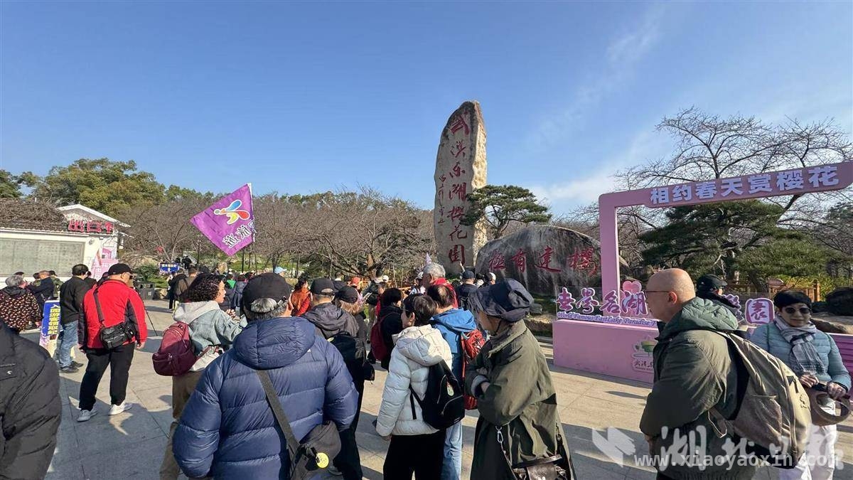 2025清明小长假：湖北旅游掀热潮，机票订单量显著增长