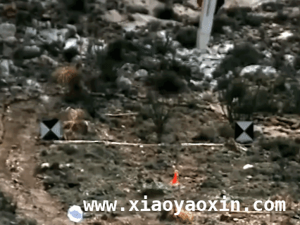 美大规模空中力量集结，伊朗核设施危在旦夕？，美国空中力量剑指伊朗，核设施能否安然无恙？