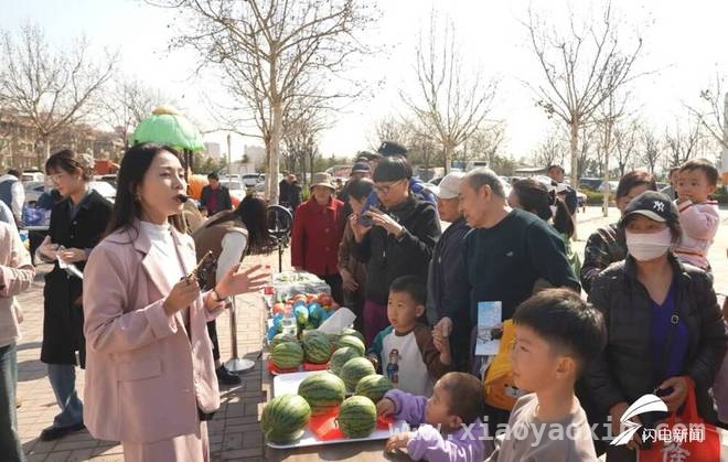 机关干部化身“瓜农”，陵阳西瓜走向大城市