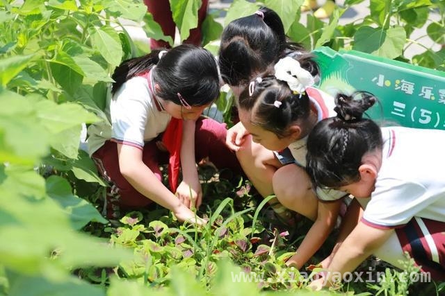 上海市松江区九亭第二小学：行为规范教育成就精彩童年