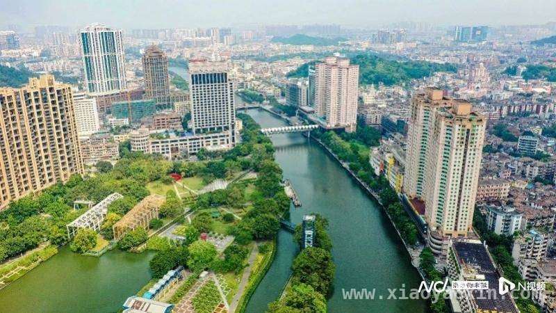 两会声音：中山代表为现代服务业发展出谋划策，中山两会：代表助力打造珠江口现代服务业示范区