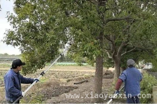 新桥镇“世界水日·中国水周”活动：多维发力，共绘节水护水新画卷，新桥镇借“世界水日·中国水周”，全方位开展水环境保护行动