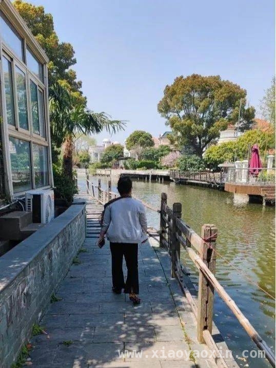 新桥镇“世界水日·中国水周”活动：多维发力，共绘节水护水新画卷，新桥镇借“世界水日·中国水周”，全方位开展水环境保护行动