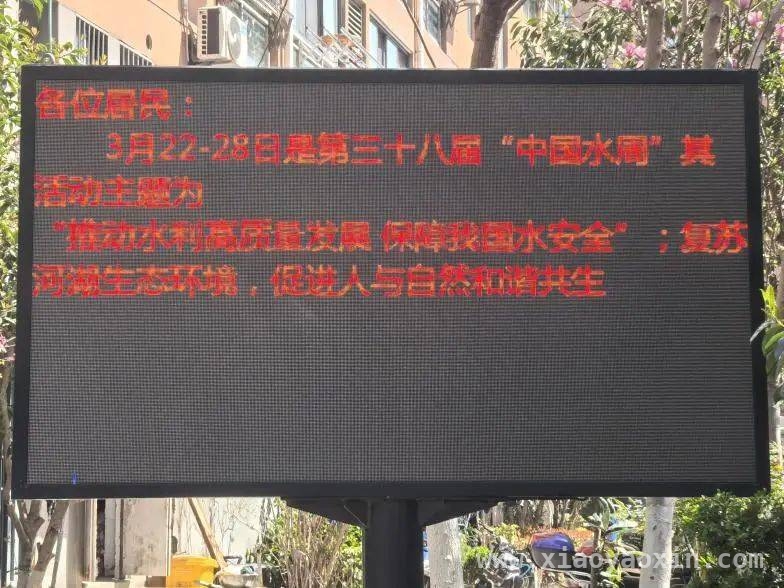 新桥镇“世界水日·中国水周”活动：多维发力，共绘节水护水新画卷，新桥镇借“世界水日·中国水周”，全方位开展水环境保护行动