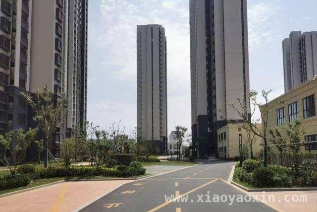 山东灵活就业公积金试点：可灵活缴存退出，购房压力大减