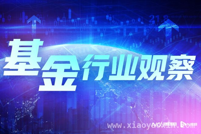 马龙管理规模骤降，招商基金面临业绩维稳大考，马龙卸任风波：招商基金战略调整下的固收之变